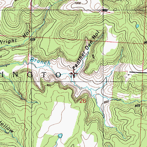 Topographic Map of Panther Den Hollow, MO
