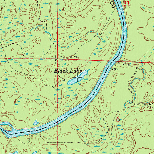 Topographic Map of Black Lake, AR