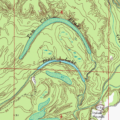 Topographic Map of Black Lake, AR
