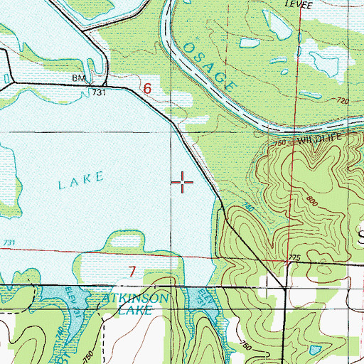 Topographic Map of Pecan Hollow, MO