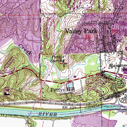 Topographic Map of Pettys Spring, MO