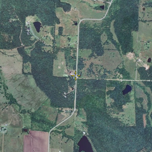 Aerial/Satellite Image of Raney, MO