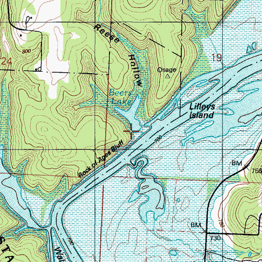 Topographic Map of Reese Hollow, MO