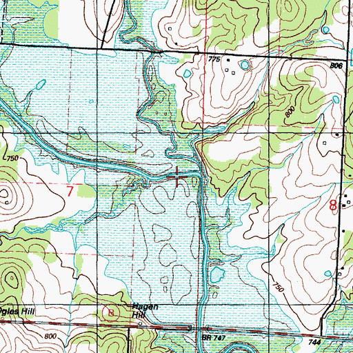 Topographic Map of Reid Creek, MO