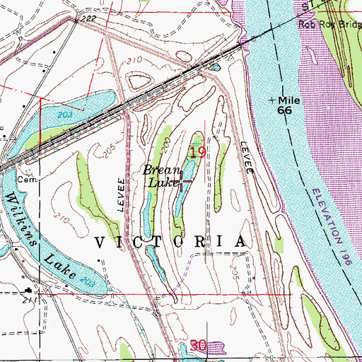 Topographic Map of Brean Lake, AR