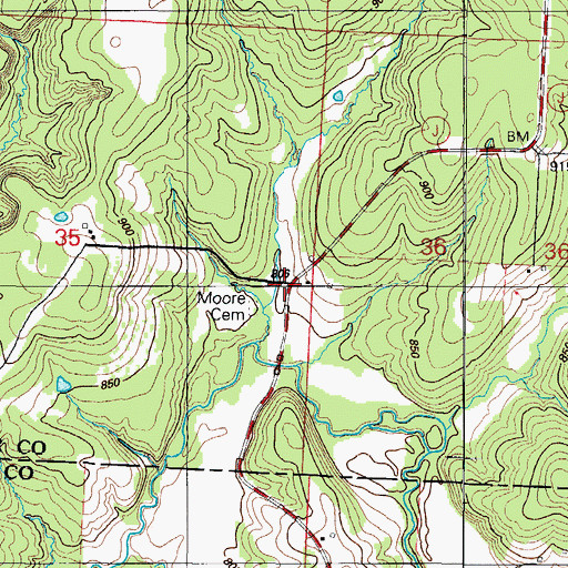 Topographic Map of Rookins, MO