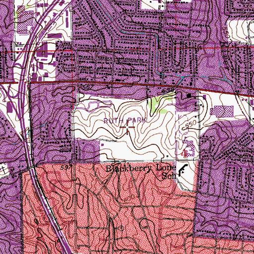 Topographic Map of Ruth Park, MO