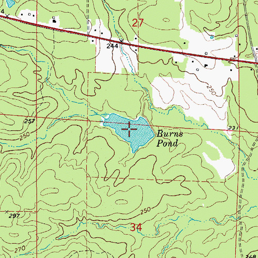 Topographic Map of Burns Pond, AR