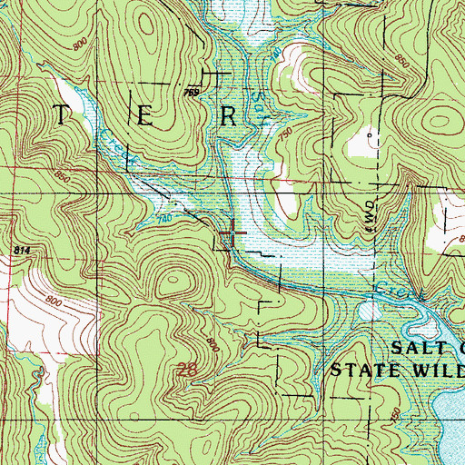 Topographic Map of Silver Creek, MO