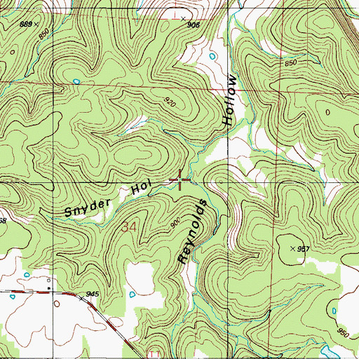 Topographic Map of Snyder Hollow, MO