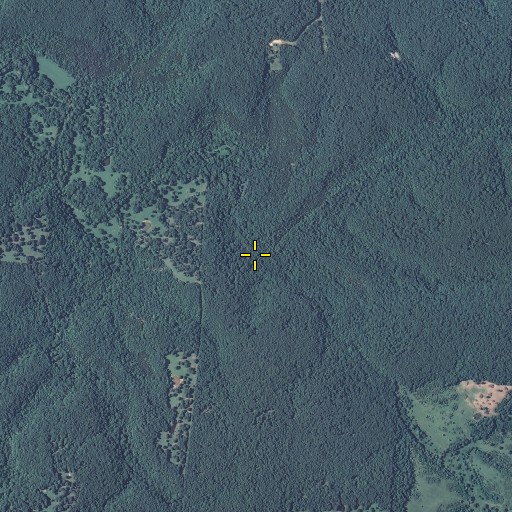 Aerial/Satellite Image of South Fork Wright Creek, MO