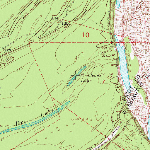Topographic Map of Cocklebur Lake, AR