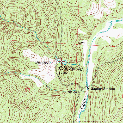 Topographic Map of Cold Spring Lake, AR