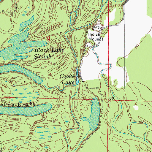 Topographic Map of Cooks Lake, AR