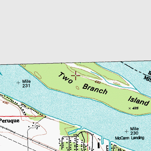Topographic Map of Two Branch Island, MO