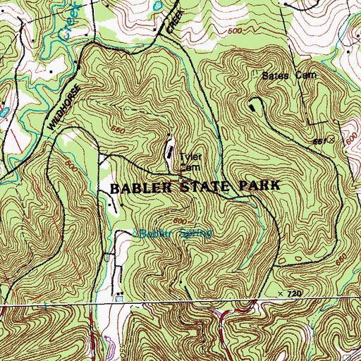 Topographic Map of Tyler Cemetery, MO
