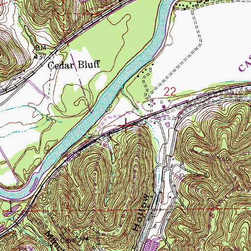 Topographic Map of Tyson, MO