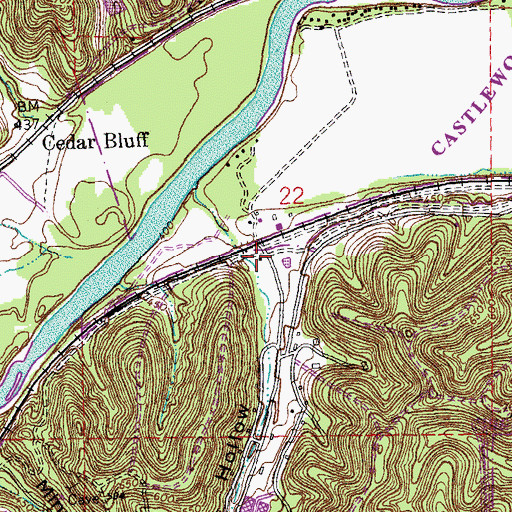 Topographic Map of Tyson Hollow, MO