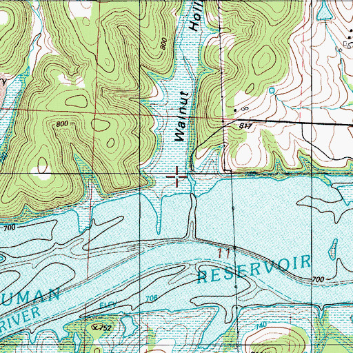 Topographic Map of Walnut Hollow, MO