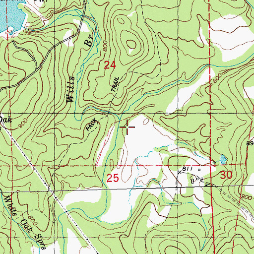 Topographic Map of Wills Branch, MO