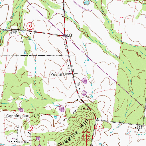 Topographic Map of Young Cemetery, MO
