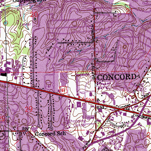 Topographic Map of Ronnies Plaza, MO