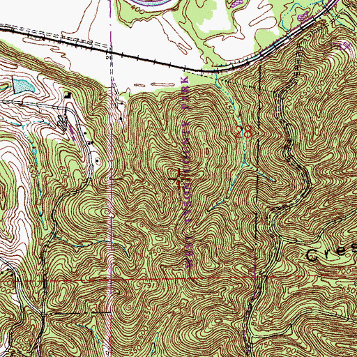Topographic Map of West Tyson County Park, MO