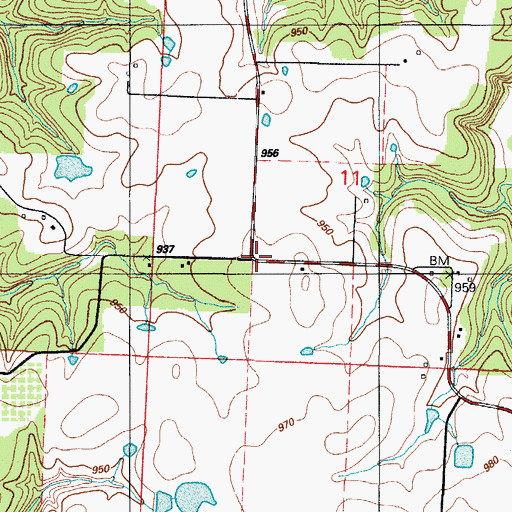 Topographic Map of Kings Prairie, MO