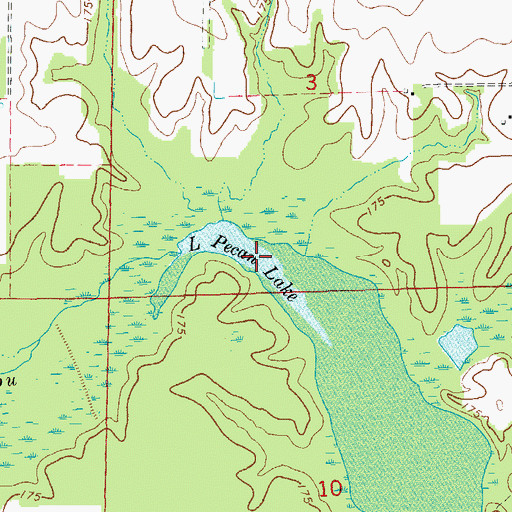 Topographic Map of Little Pecan Lake, AR