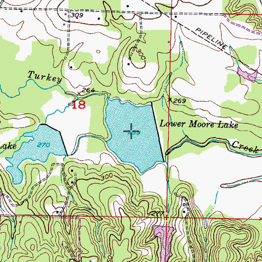 Topographic Map of Lower Moore Lake, AR
