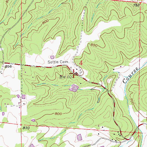 Topographic Map of Settletown, MO