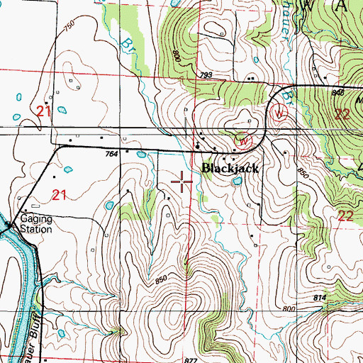 Topographic Map of Blackjack, MO