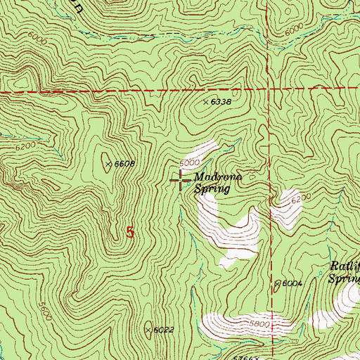Topographic Map of Madrono Spring, AZ