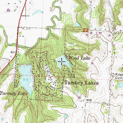 Topographic Map of Wood Lake, MO