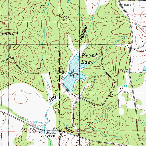 Topographic Map of Brent Lake, MO