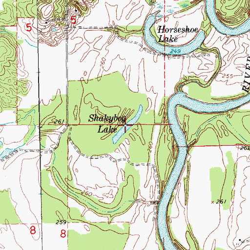Topographic Map of Shakybog Lake, AR