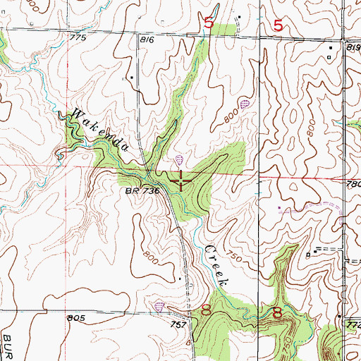 Topographic Map of Carroll County, MO
