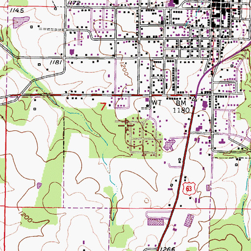Topographic Map of Texas County, MO