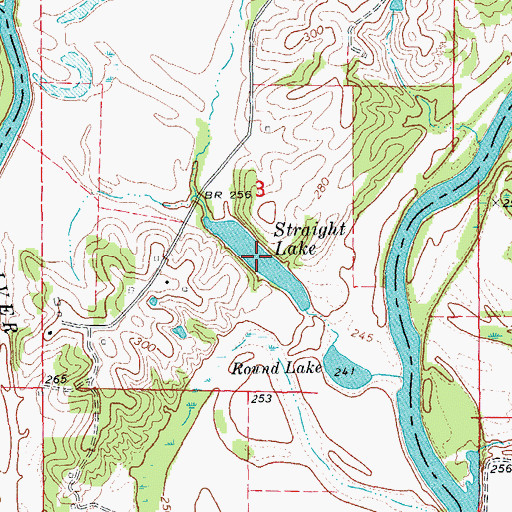 Topographic Map of Straight Lake, AR