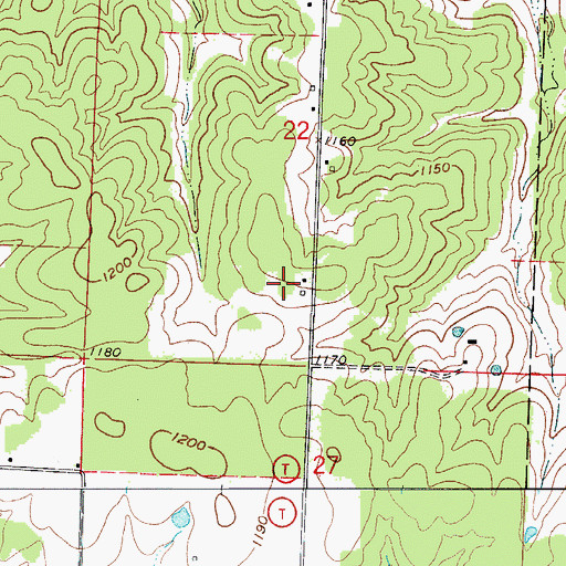 Topographic Map of Gary's Airport, MO