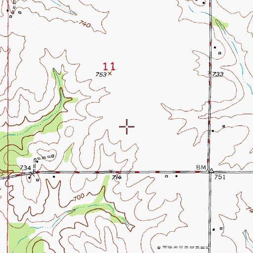 Topographic Map of Hines Airport, MO