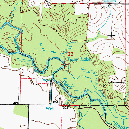 Topographic Map of Tyler Lake, AR
