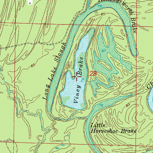 Topographic Map of Viney Brake, AR