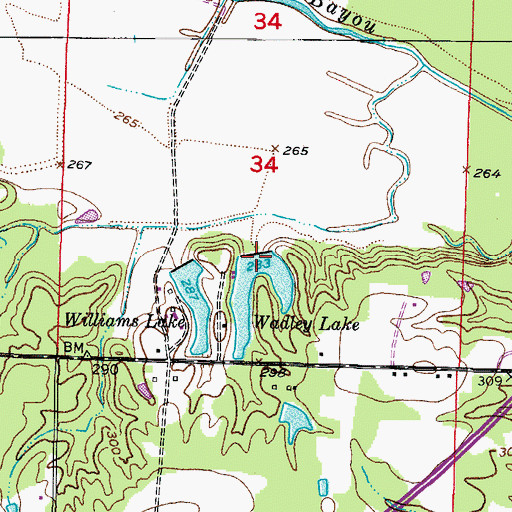 Topographic Map of Wadley Lake, AR