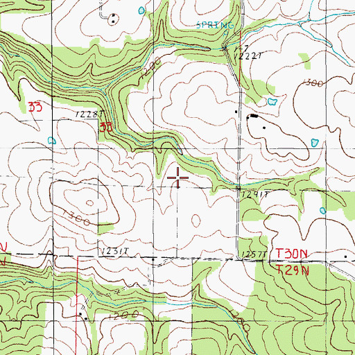 Topographic Map of Belly Acres Ranch Airport (historical), MO
