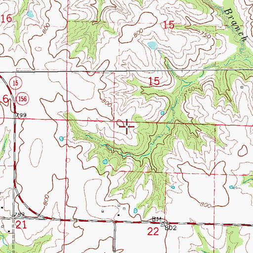 Topographic Map of Palmer Airport (historical), MO