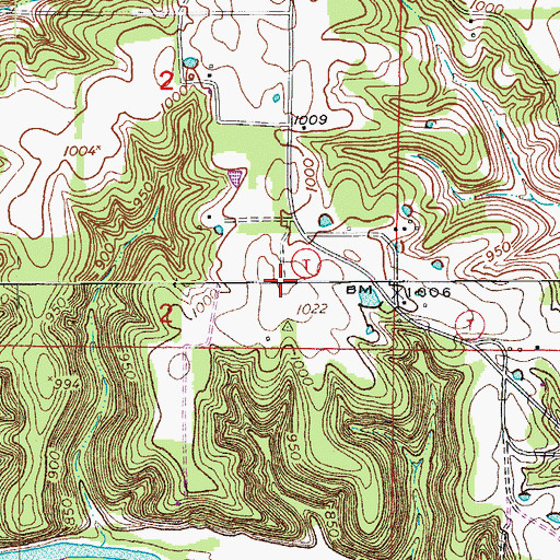Topographic Map of Willhite Airport (historical), MO