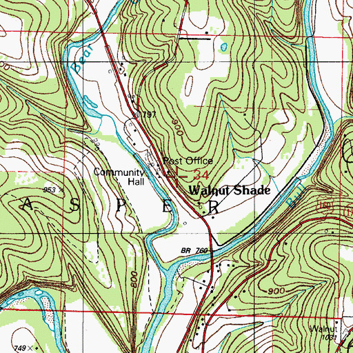 Topographic Map of Walnut Shade Post Office, MO