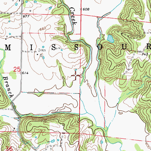 Topographic Map of Stapletown (historical), MO