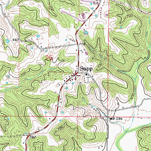 Topographic Map of Nashville School (historical), MO